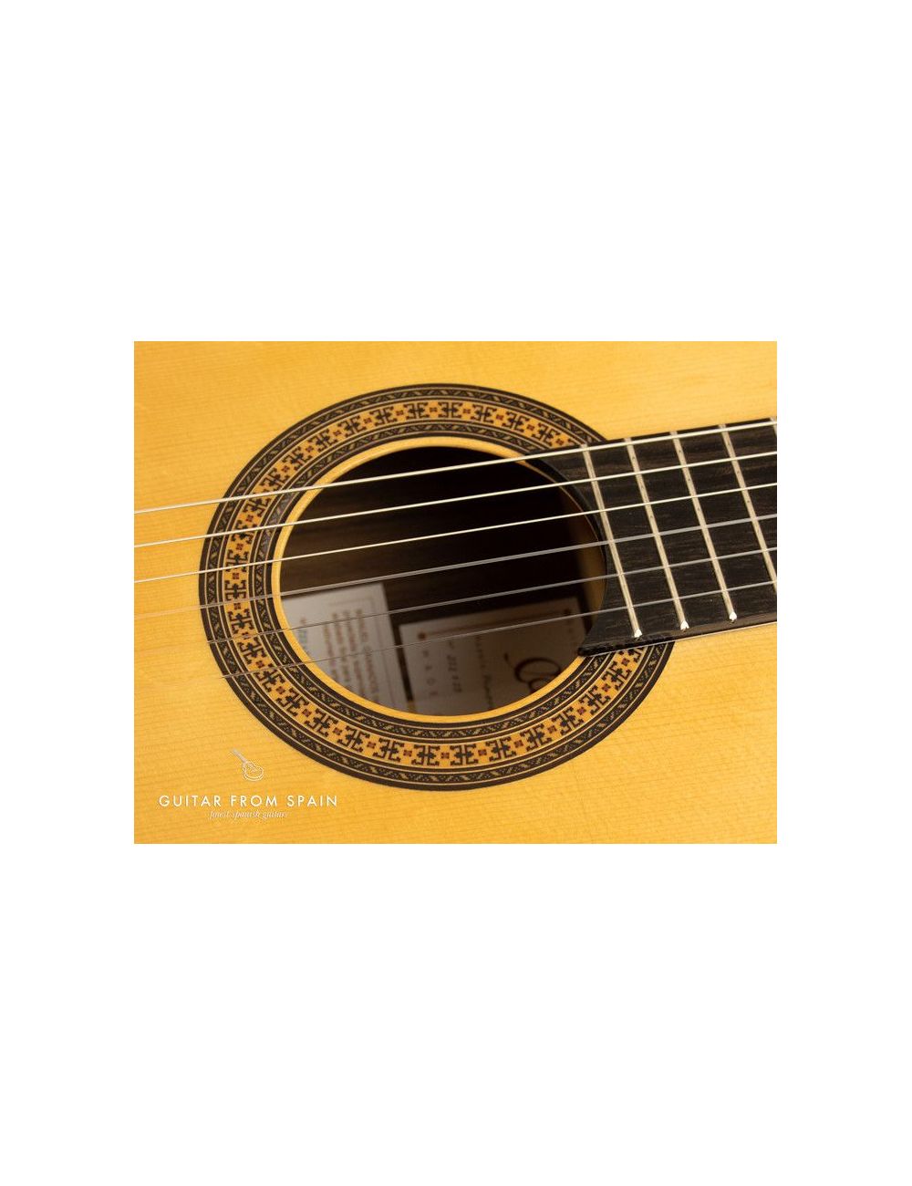 Camps PRIMERA Negra Flamenco Guitar PRIMERA NEGRA Premium Flamenco