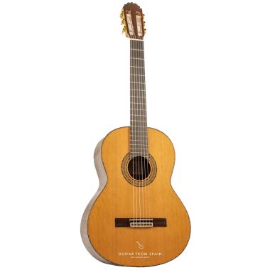 Amalio Burguet 2M Guitarra...