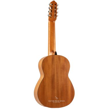 APC 1S 8 STR 8 strings...