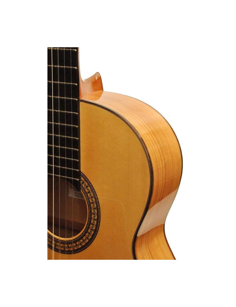 Camps M5S Flamenco gitarre