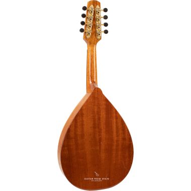 Prudencio Saez Mandolin S
