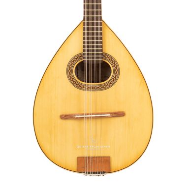 Prudencio Saez Mandolin S