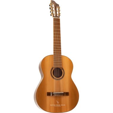 APC 9C 7 STR Guitare...