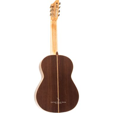 APC 9C 7 STR 7 strings...