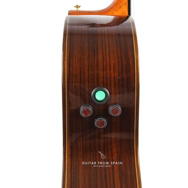 Fishman Flex-Bend E8...
