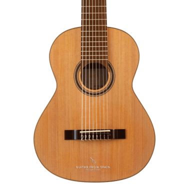 APC 9C 8 STR 8 strings...