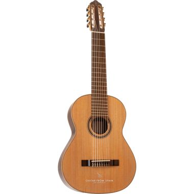 APC 9C 8 STR 8 strings...