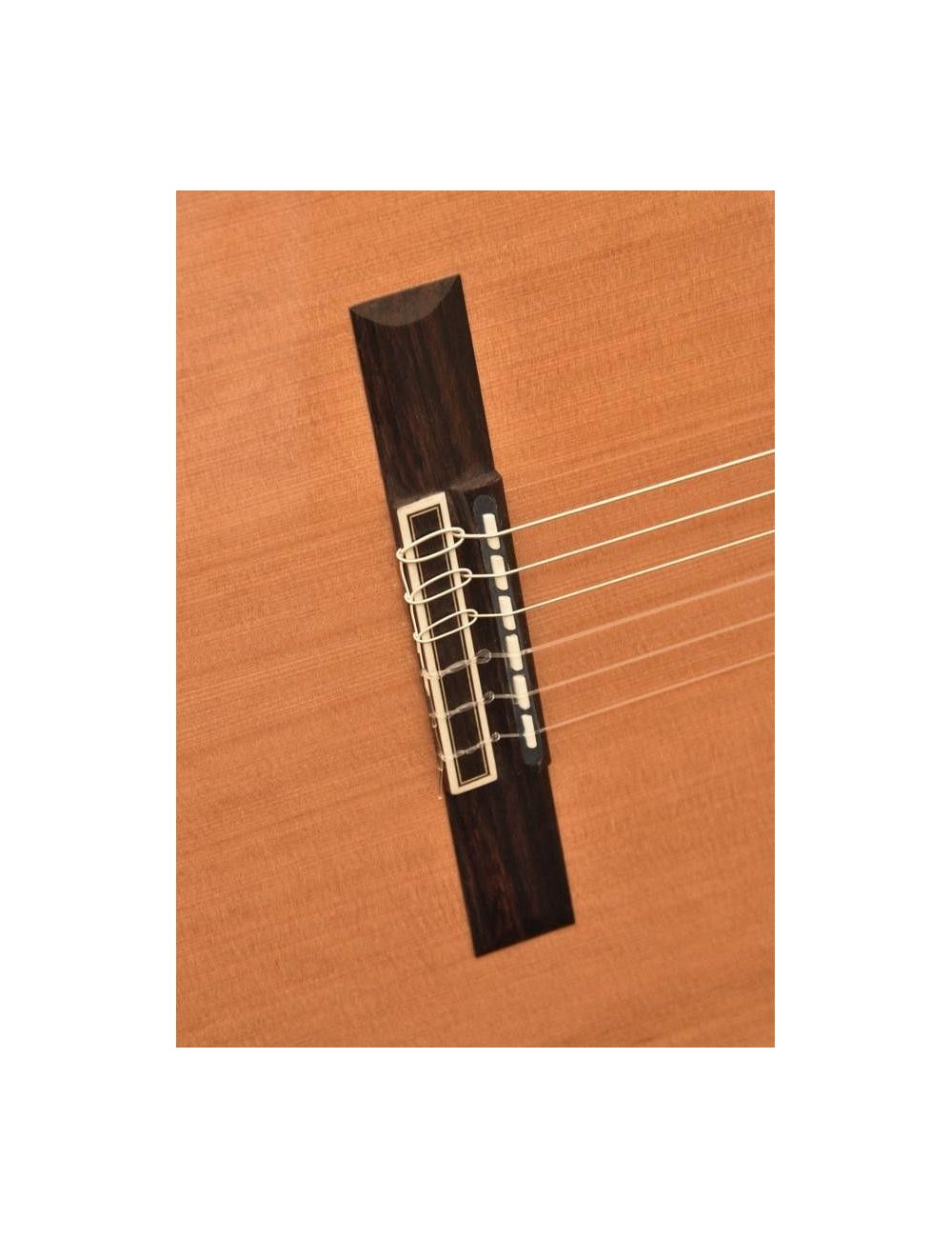 Camps CE600 Electro Classical Guitar CE-600 Electro-Classical