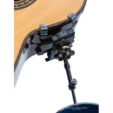 Woodside GS4-PRO guitar...