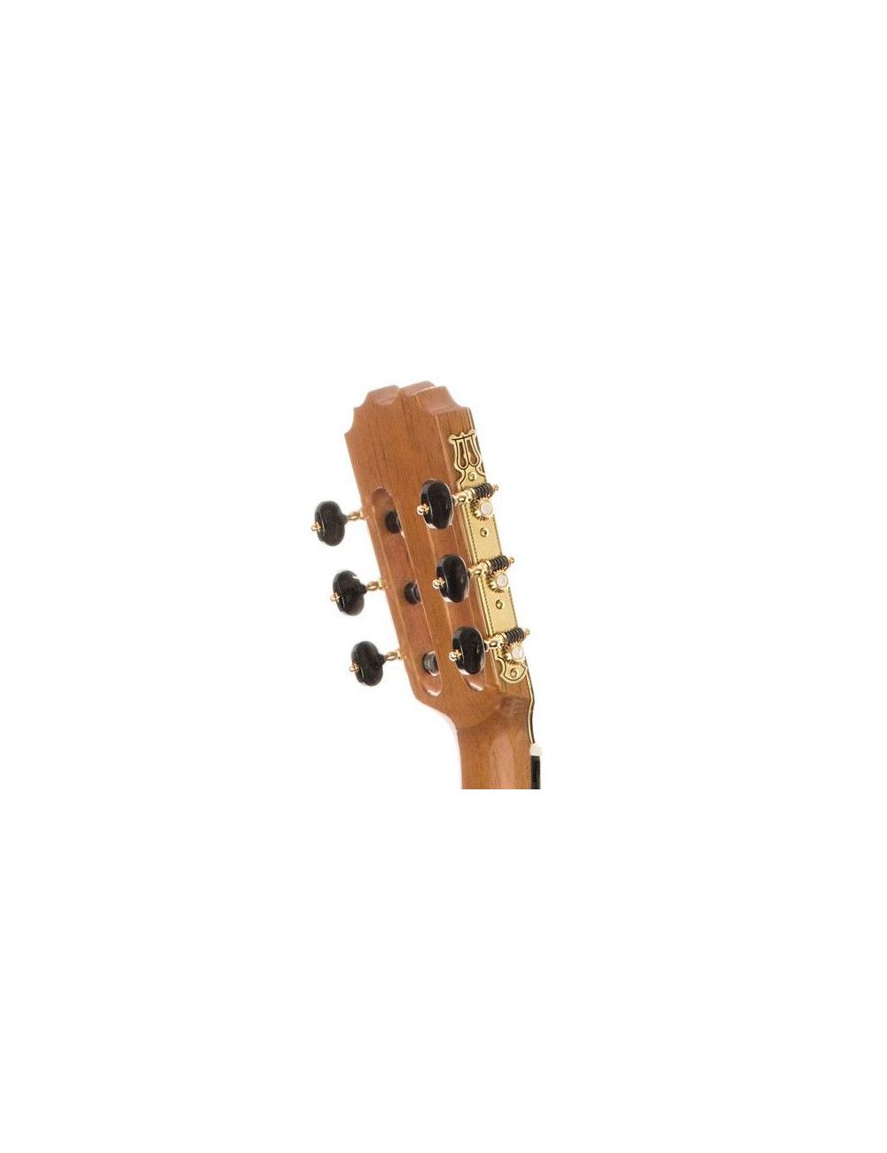 Prudencio Saez 5-FP (Saez Paredes) Flamenco Guitar 5-FP Premium Flamenco