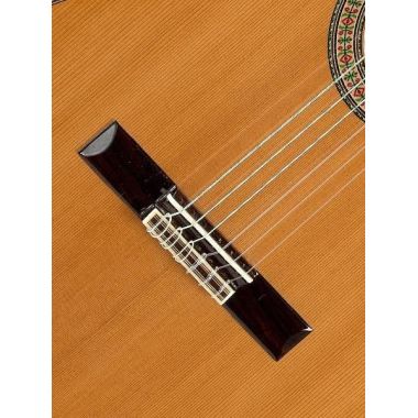 Alhambra 3CCWE1 Electro Classical Guitar 3CCWE1 Electro-Classical