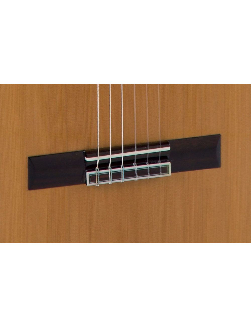 Admira A10 EF Electro Classical guitar ADM10EF Electro-Classical