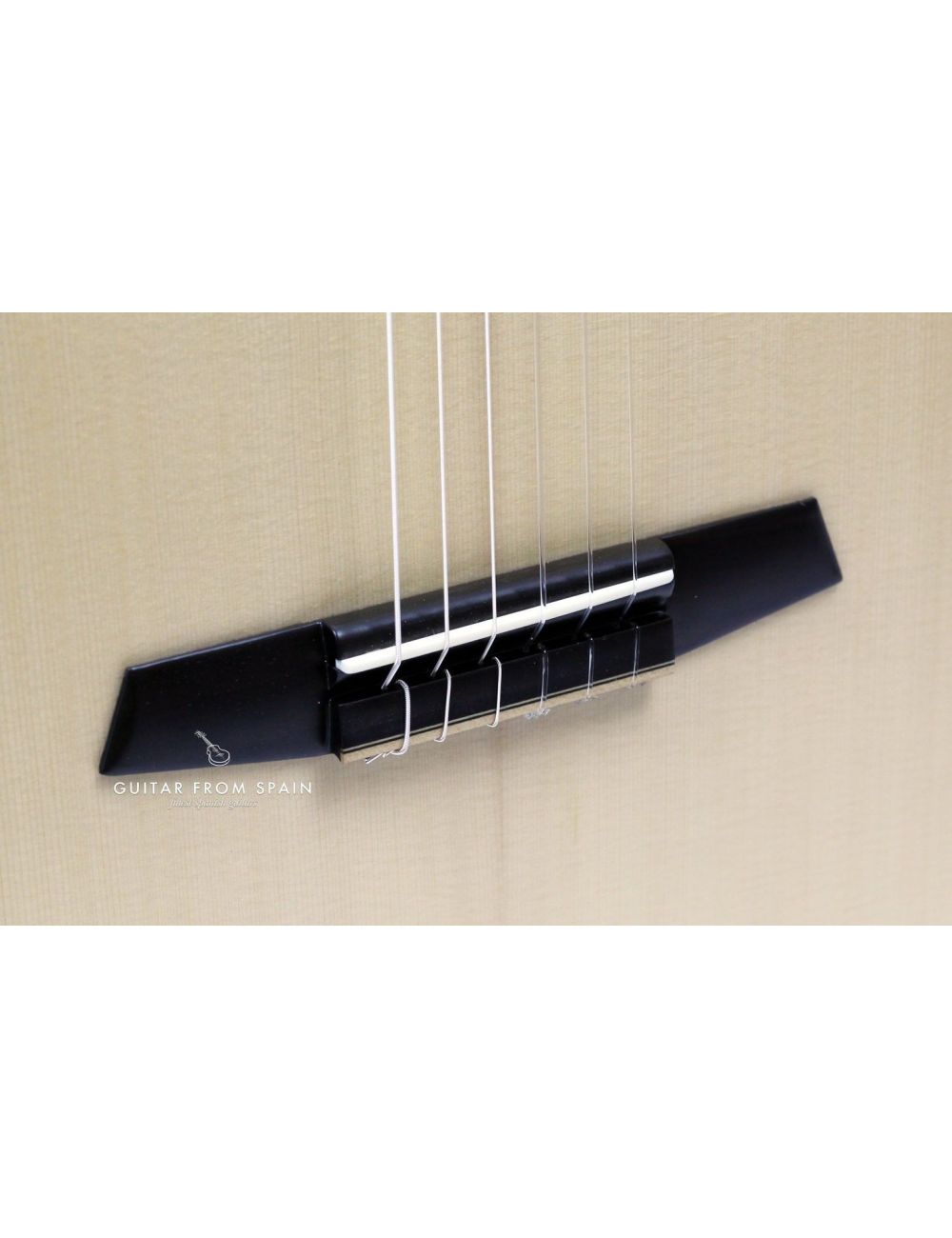 Prudencio Saez STAGE Guitare Classique Electro