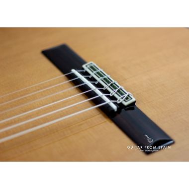 Guitarra Alhambra 11P