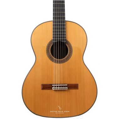 Alhambra 10FP PINANA flamenco negra guitar 8225 Premium Flamenco