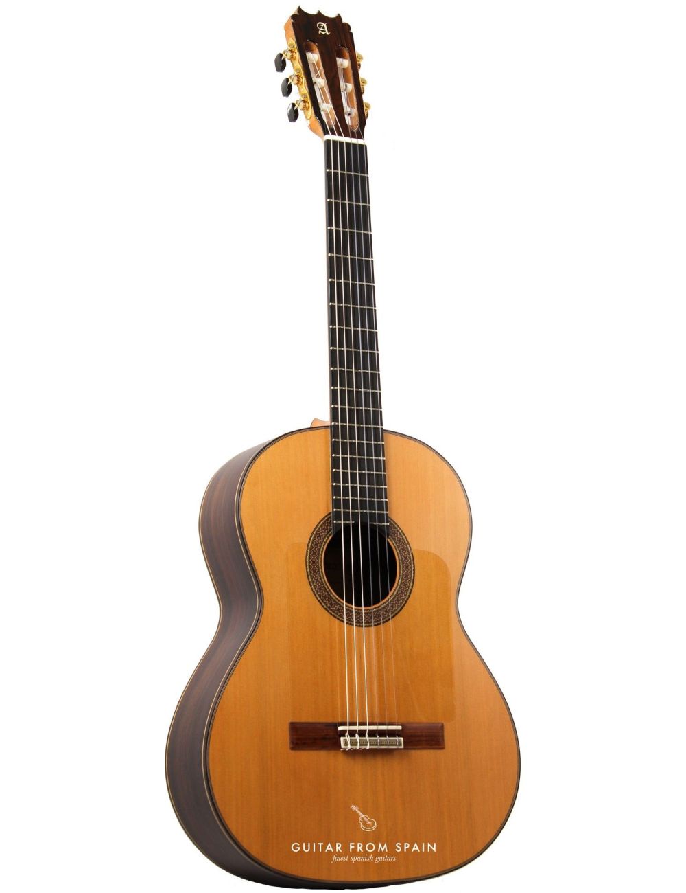 Alhambra 10FP PINANA flamenco negra guitar 8225 Premium Flamenco