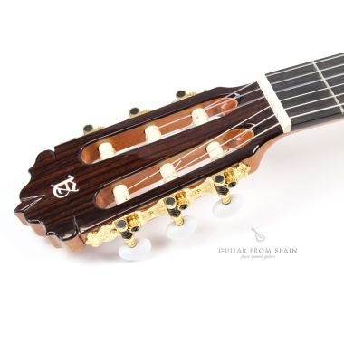Alhambra 5PCW E8 Electro Classical Guitar 5PCW E8 Electro-Classical