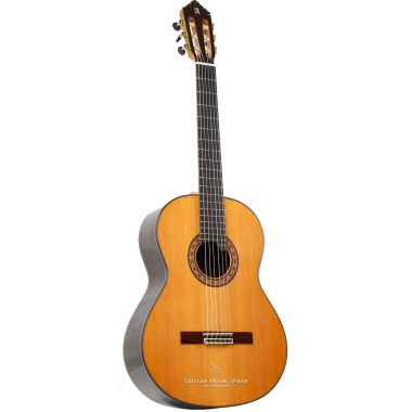 Alhambra 10 Premier Guitare Classique