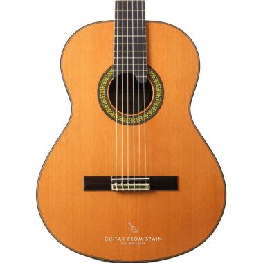 Gitarre Alhambra 11P