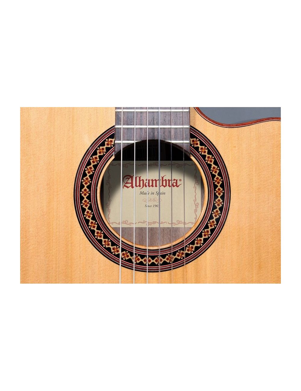 Alhambra Iberia Ziricote CTW E8 Guitare Electro Classique