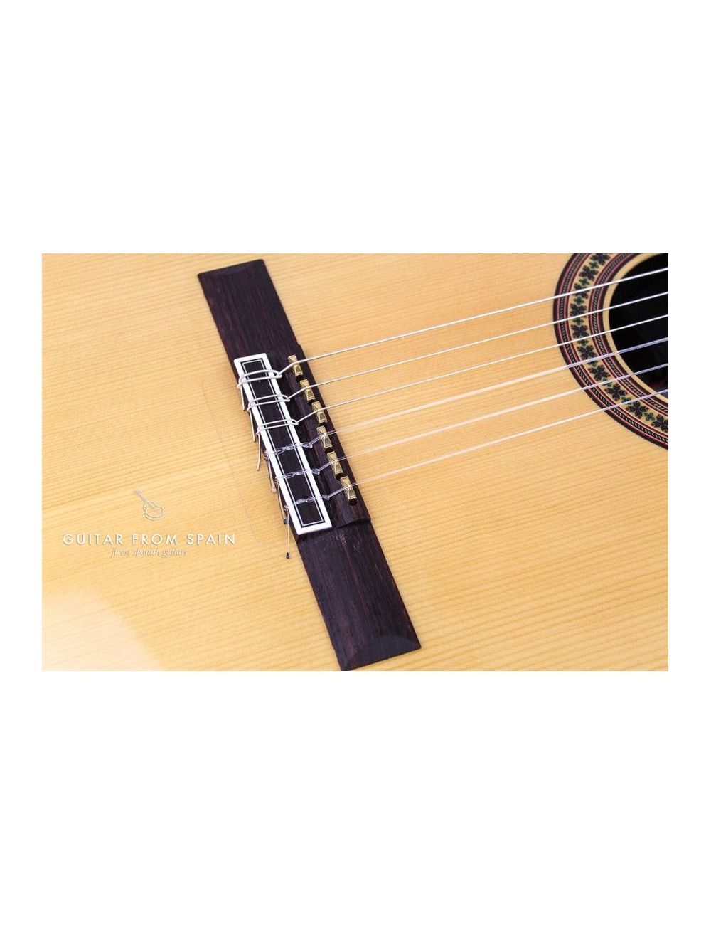 Camps CUT900 MIDI Classical Guitar CUT-900-MIDI MIDI Guitars