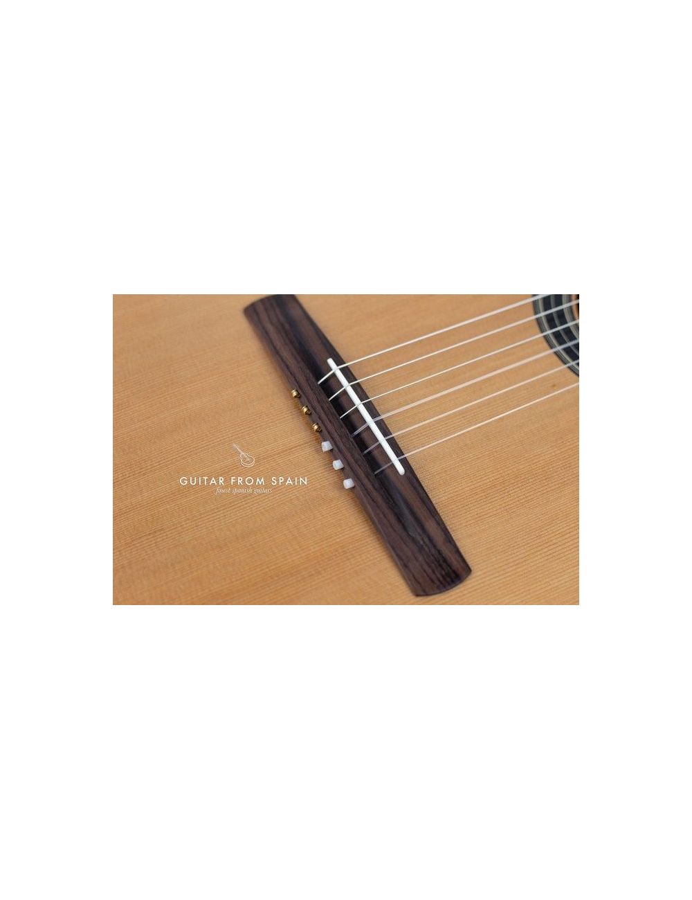 Alhambra CS-LR CW E1 Crossover Classical Guitar CSLRCW E1 Crossover