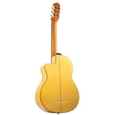 Prudencio Saez 6-CW (59) Electro Classical Guitar 6-CW Electro-Classical