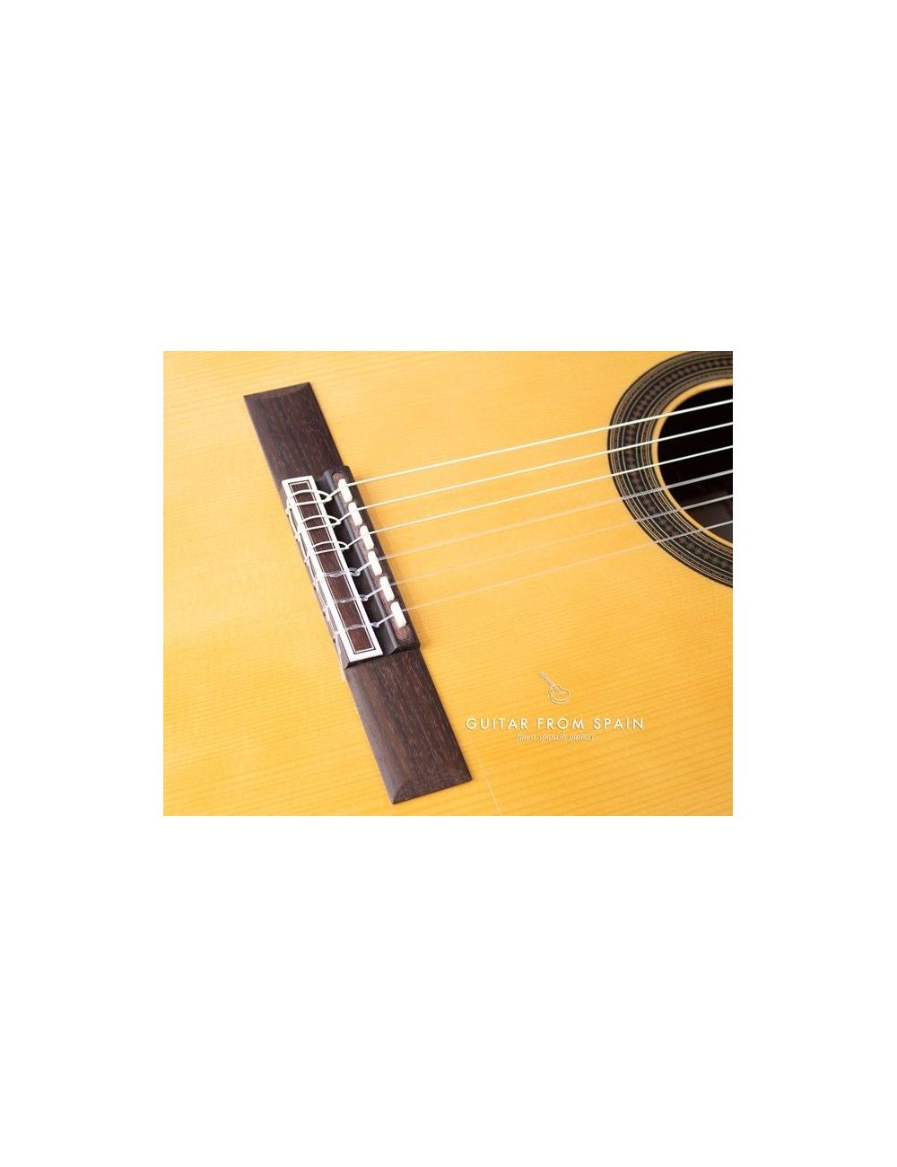 Camps SP6FE Electro Acoustic Flamenco negra guitar SP-6-F-E Flamenca Negra