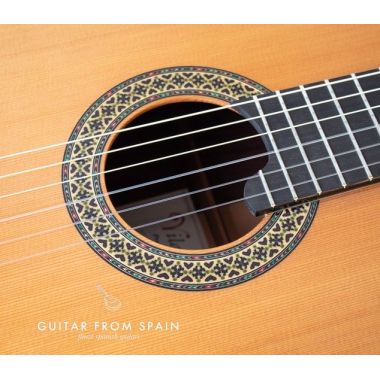 Alhambra Premier Pro Madagascar Guitare classique