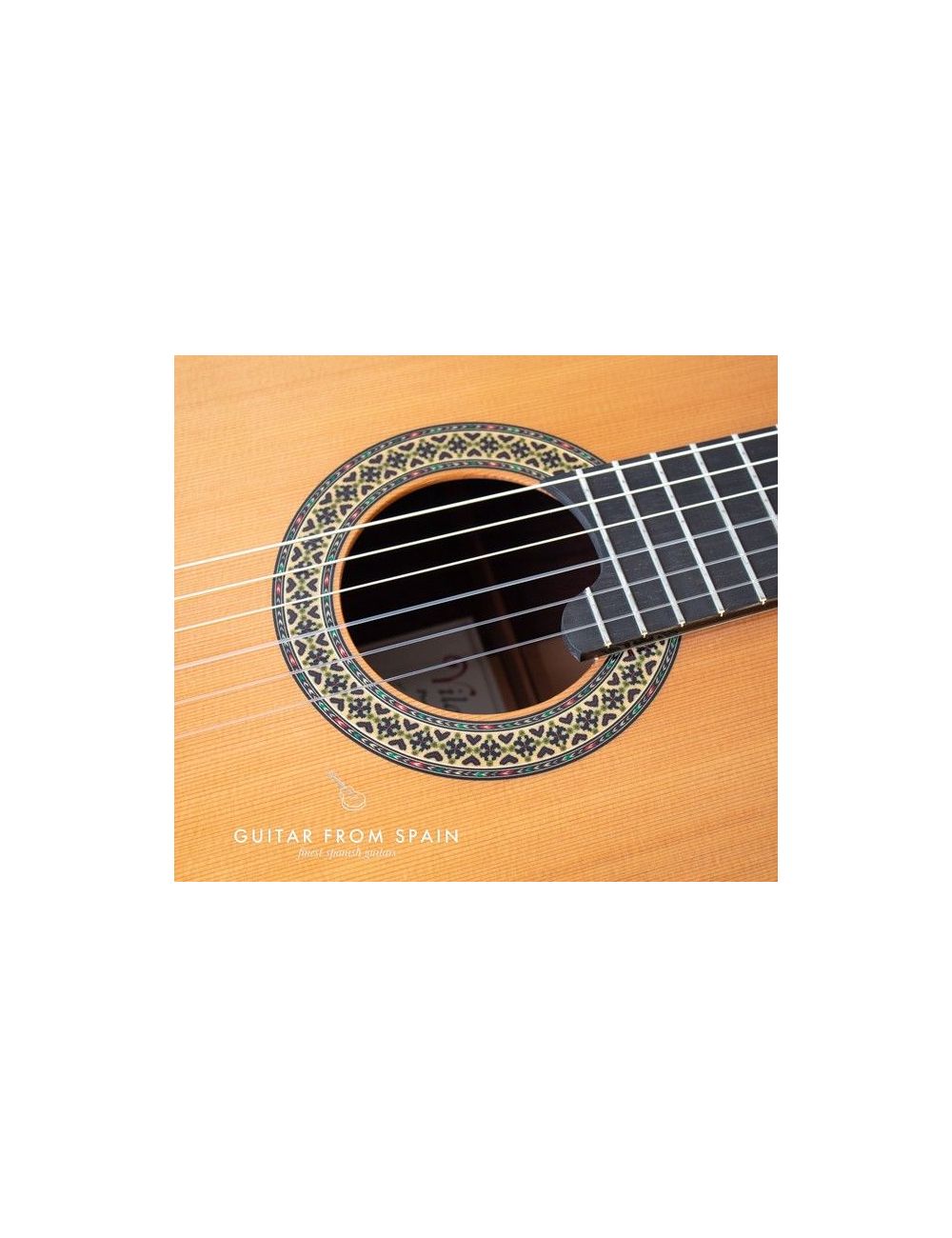 Alhambra Premier Pro Madagascar Classical guitar Premier Pro Madagascar Premium Classical