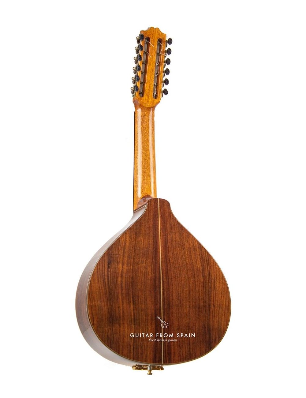 Lute Prudencio Saez 99 99 Bandurria and Laud