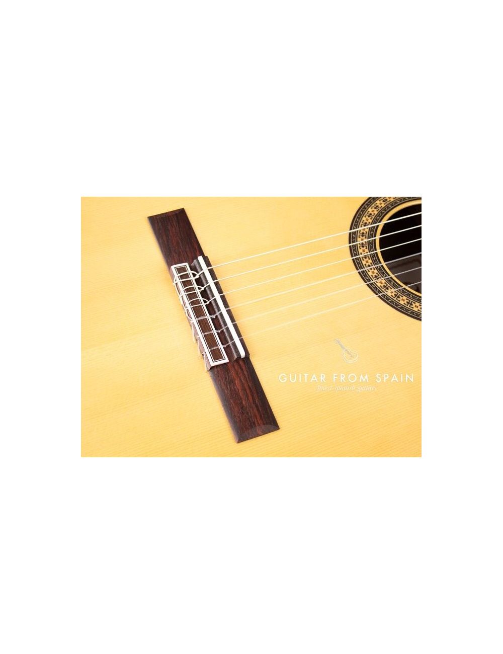 Camps M10 Classical guitar M-10 Concert Classical