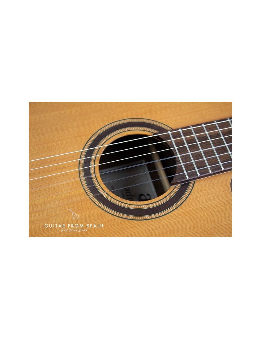 Admira VIRTUOSO ECF Electro Classical guitar ADM0930ECF Electro-Classical