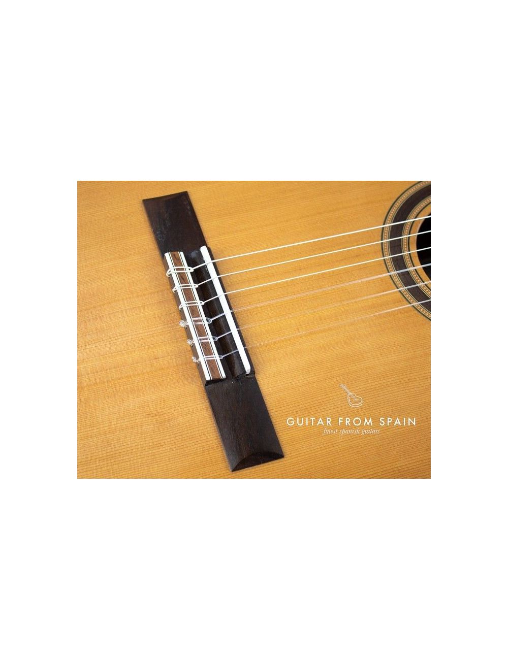 Admira VIRTUOSO ECF Electro Classical guitar ADM0930ECF Electro-Classical