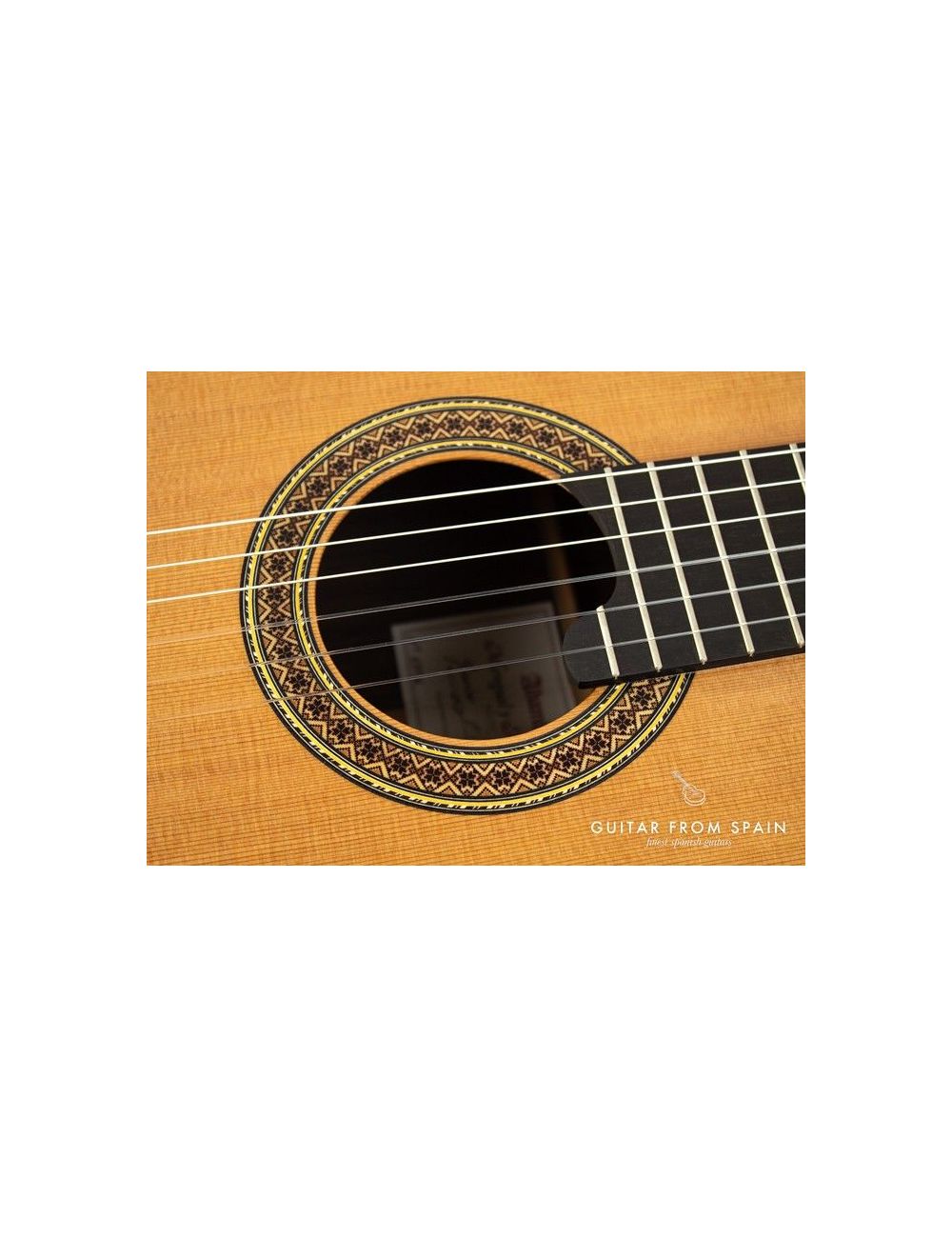 Alhambra Mengual & Margarit Serie NT Classical guitar M & M Serie NT 280 Premium Classical