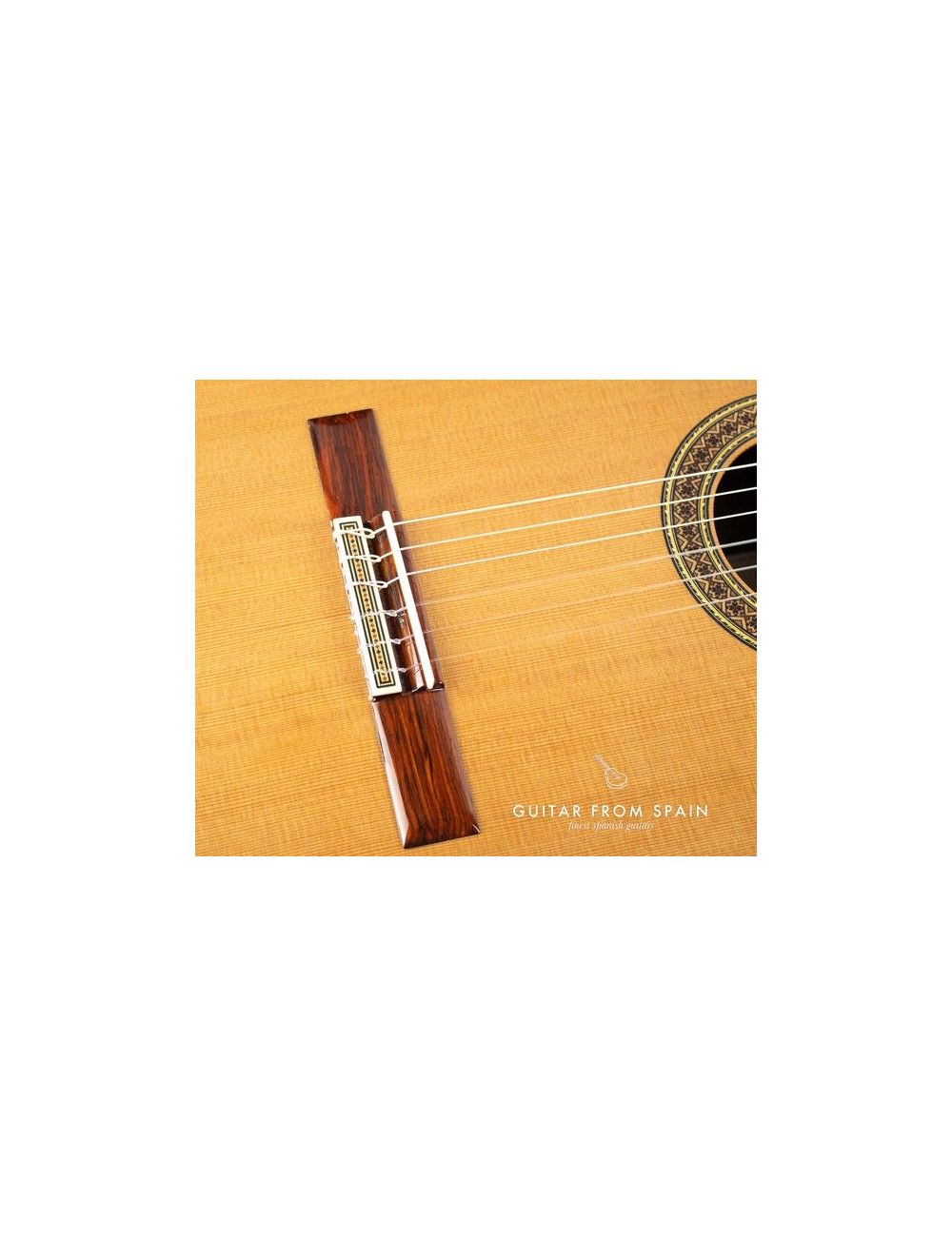 Alhambra Mengual & Margarit Serie NT Classical guitar M & M Serie NT 280 Premium Classical