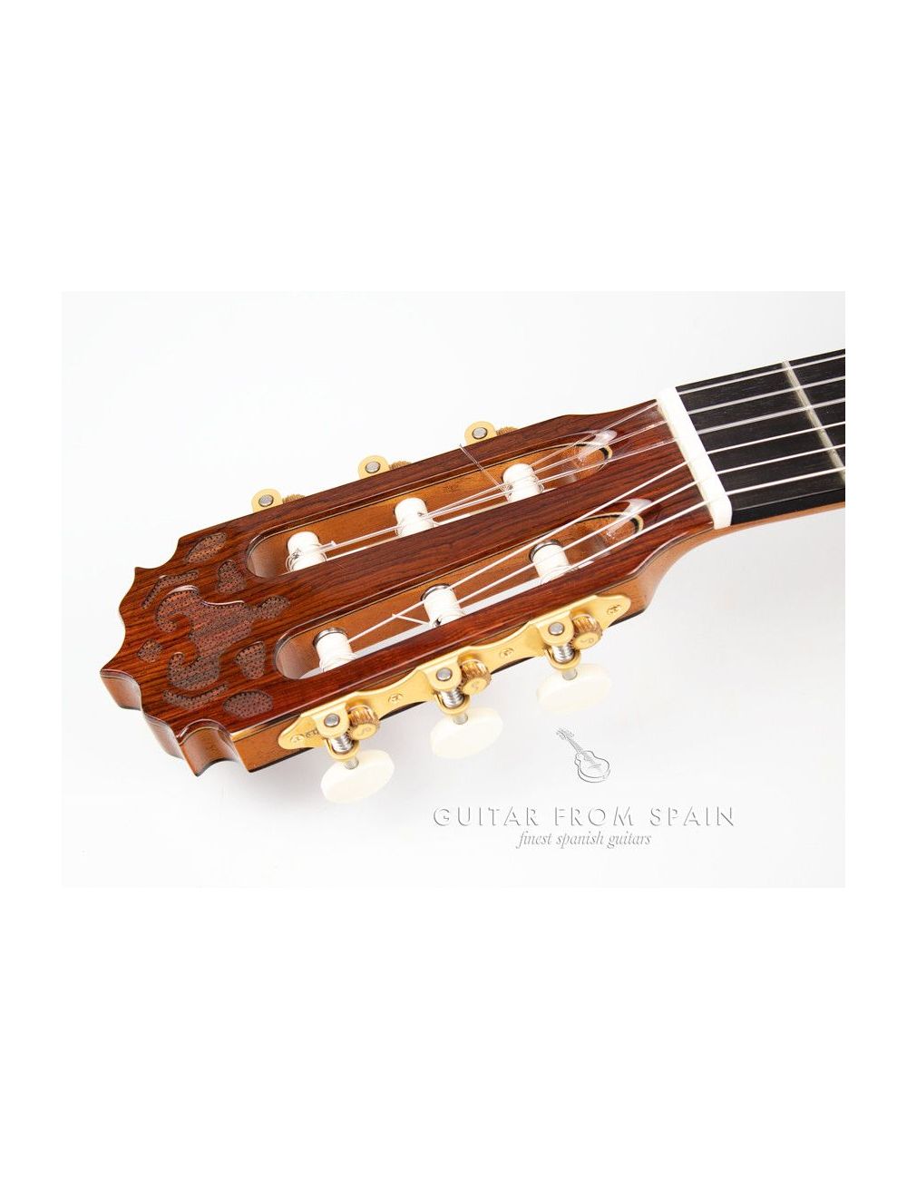 Alhambra JMV Serie NT Classical Guitar JMV Serie NT 260 Premium Classical
