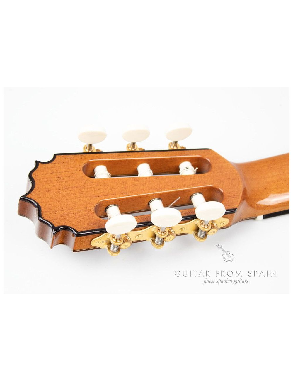 Alhambra Vilaplana Serie NT Guitarra Clásica
