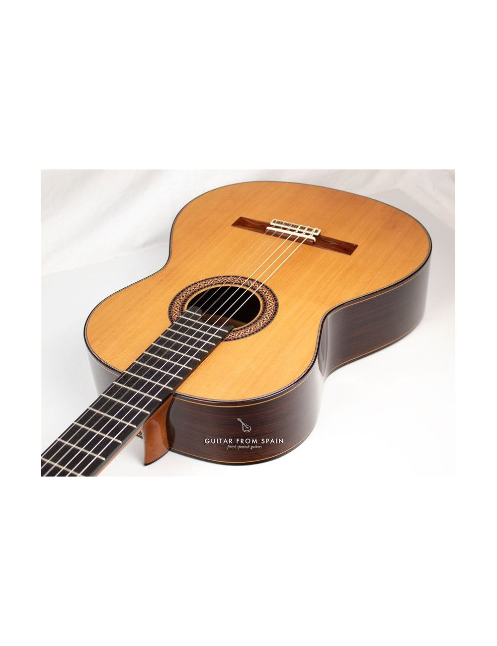 Alhambra JMV Serie NT Classical Guitar JMV Serie NT 260 Premium Classical