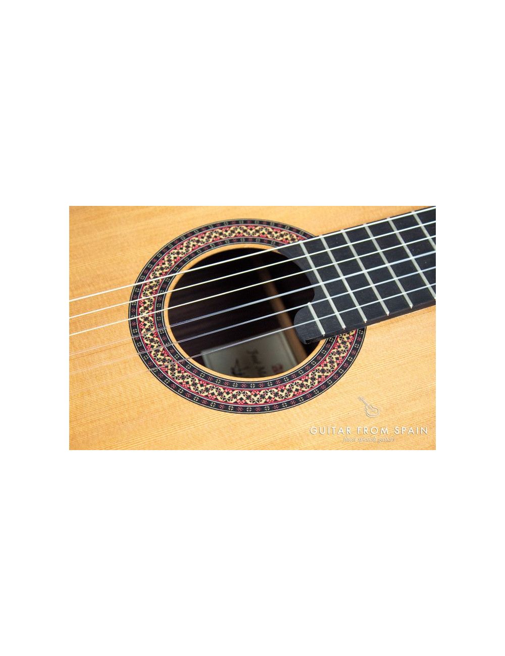 Alhambra Vilaplana Serie NT Guitare Classique