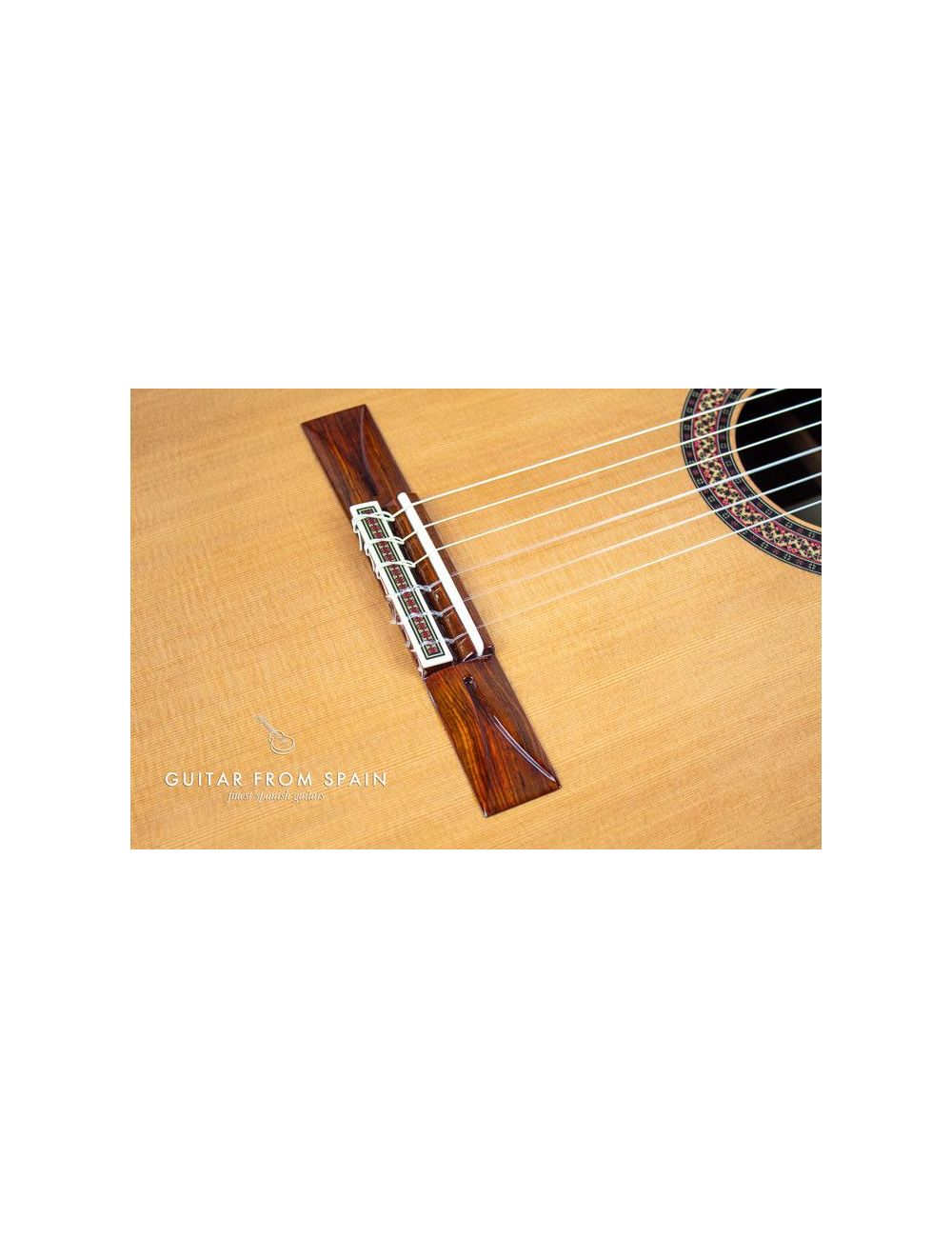 Alhambra Vilaplana Serie NT Guitare Classique