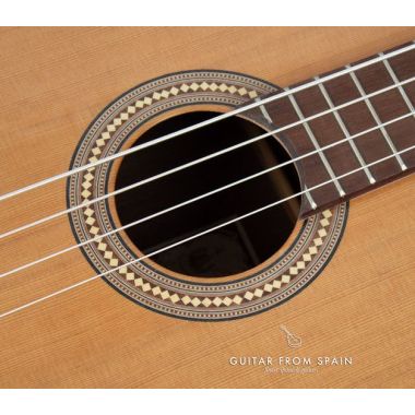 Prudencio Saez B1 Acoustic Bass B1 Other Stringed