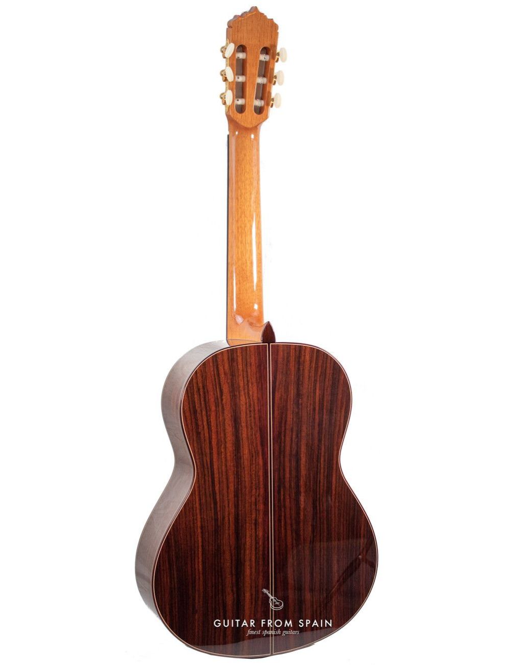 Alhambra Linea Profesional Classical guitar LINEA PROFESIONAL Premium Classical