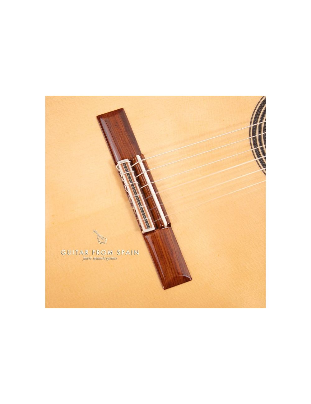 Alhambra Linea Profesional Classical guitar LINEA PROFESIONAL Premium Classical