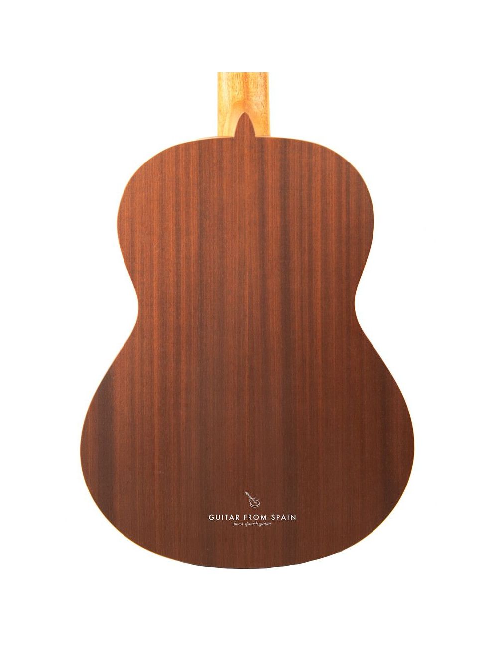 Alhambra 1C HT Hybrid Terra Guitare Classique