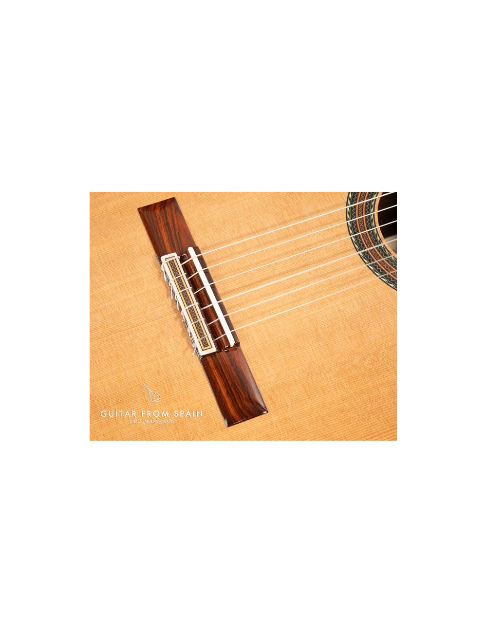 Alhambra Jose Miguel Moreno Serie C guitare classique