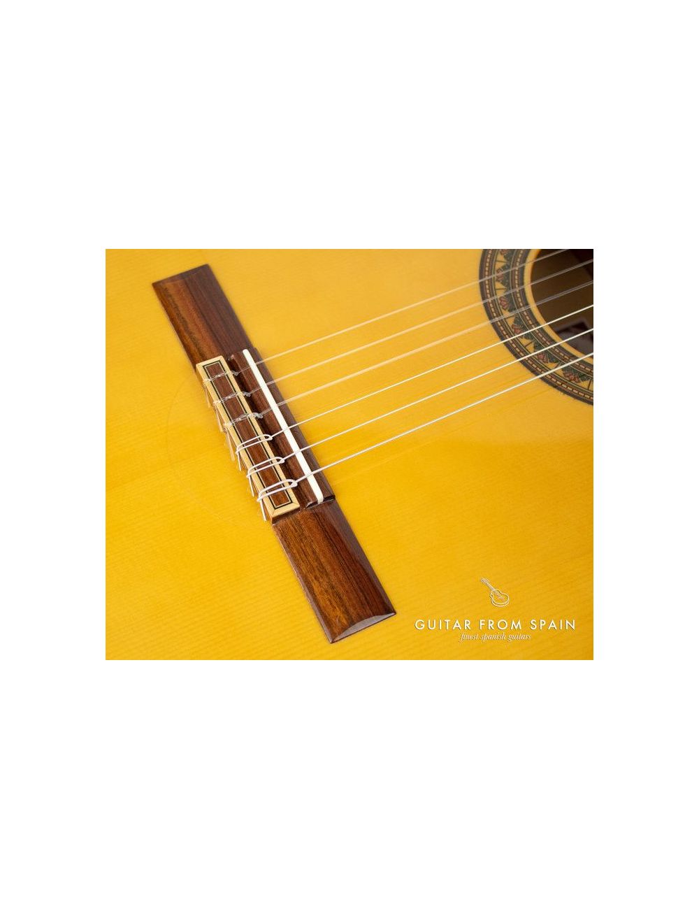 Prudencio Saez 1-FP LH Left handed Flamenco Guitar 1-FP LH left-handed guitars