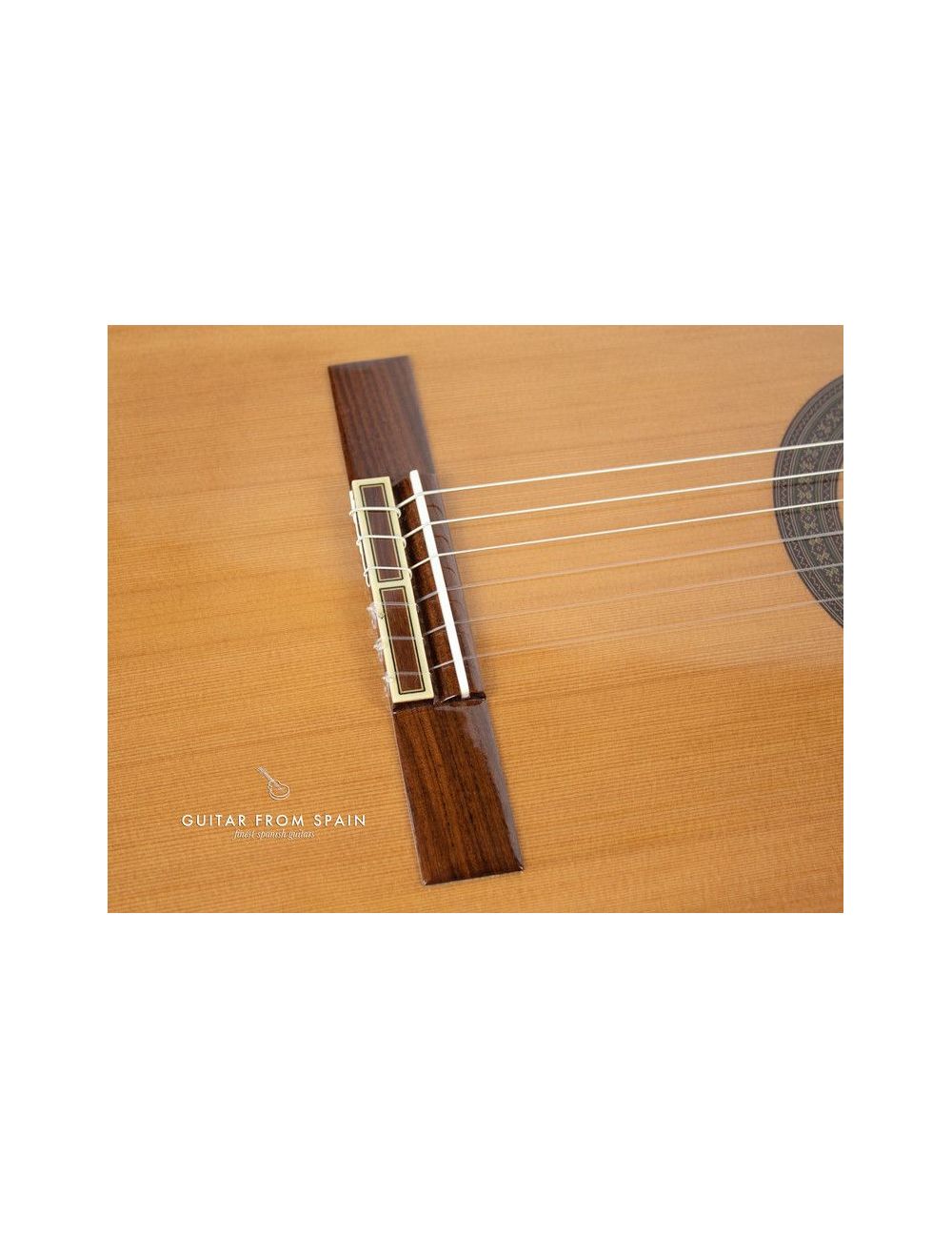 Prudencio Saez 132 Guitare Classique