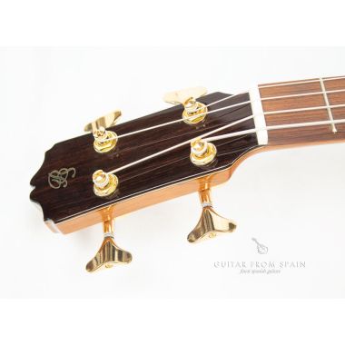Prudencio Saez B2 Acoustic Bass Cedar B2 Other Stringed