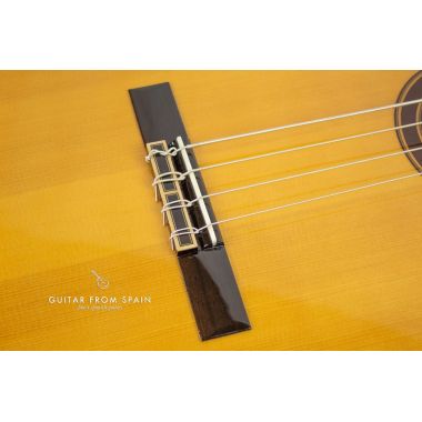 Prudencio Saez B2 Acoustic Bass Cedar B2 Other Stringed